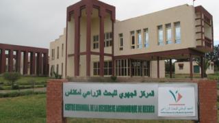 مكناس تحتضن اللقاء الختامي لمشروع “جبلهن” لدعم الجمعيات النسائية